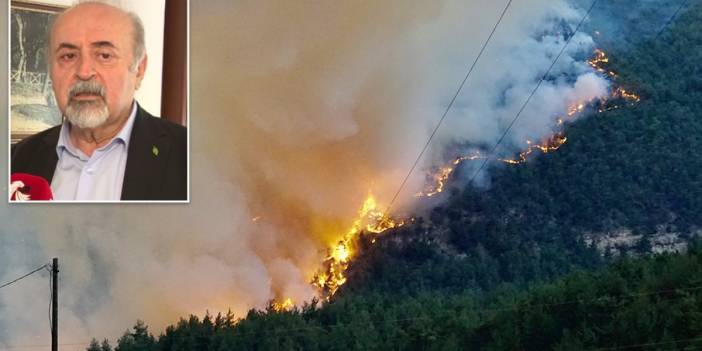 Türkiye Ormancılar Derneği Başkanı Özkara: Yangınlar Hiroşima’daki atom bombasına eş değer enerji üretiyor