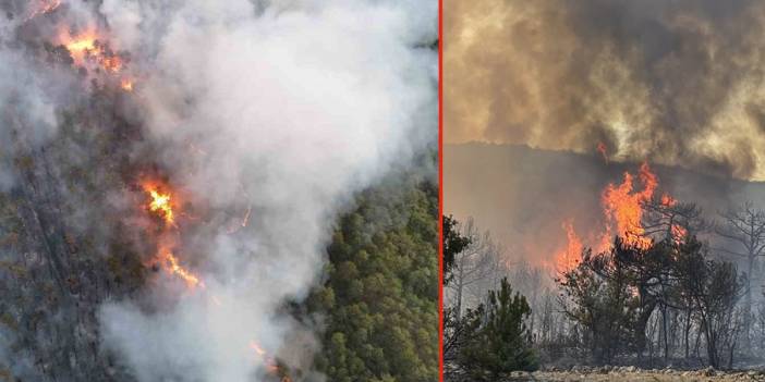 Türkiye yangınlarla boğuşuyor