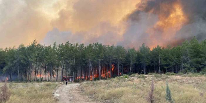 Antalya'da orman yangını: Aksu ve Muratpaşa'da evler tahliye edildi