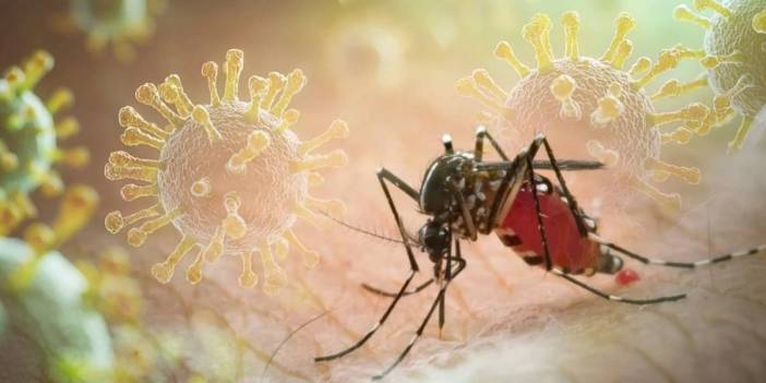 Çin'de korkutan virüs salgını: Sivrisinek kaynaklı chikungunya vakaları 4 bini geçti