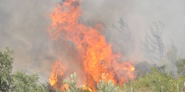 Mersin Silifke'de orman yangını