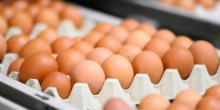 Afyon’daki yumurta firmasına kayyum atandı