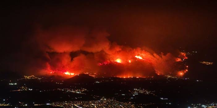DEM Parti'den orman yangınları için 'olağanüstü' toplantı çağrısı