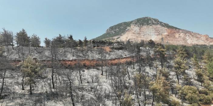 Bursa'nın yanan yüzü! Havadan görüntüler felaketi gözler önüne serdi
