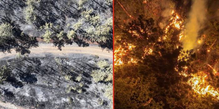Orman yangınlarının bilançosu açıklandı: 7 ilde 132 yapı ağır hasarlı
