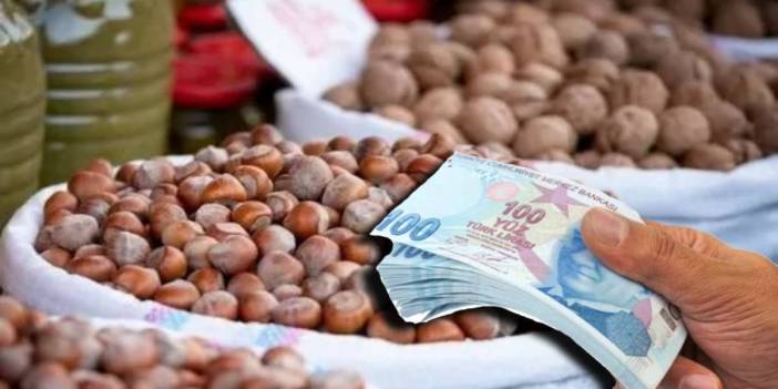 Fındık üreticisine müjde: TMO'dan beklenen alım fiyatı açıklandı: İşte o rakam...