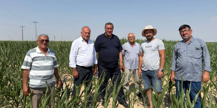 Kuraklık köyleri vuruyor: İçme suyu dahi bulunamaz hale geldi