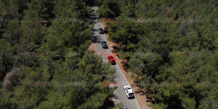 Hyundai'den 1 milyon ağaçlık dev proje: Cannes'dan 3 ödülle döndü!
