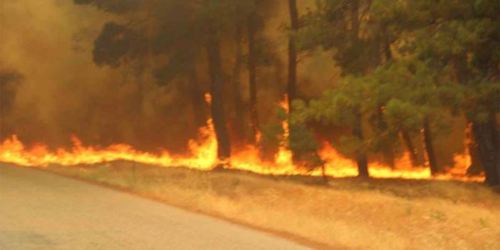 Çanakkale alev alev! 3 köy ve üniversite kampüsü boşaltıldı, Boğaz ve havalimanı kapatıldı!