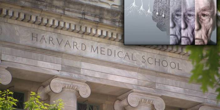 Bilim dünyasında deprem etkisi yaratan keşif: Alzheimer'ın nedeni bulundu