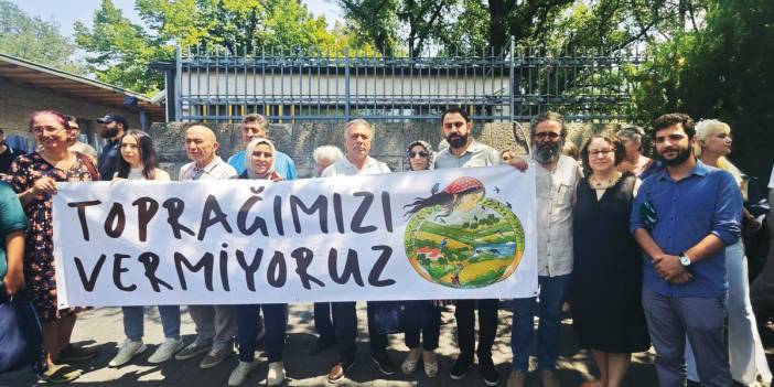 Cennet yeşiline kömür karası