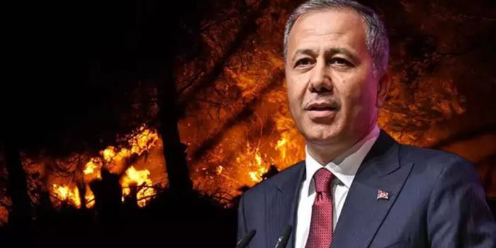 Yerlikaya: Çanakkale'de orman yangınından 348 kişi kurtarıldı