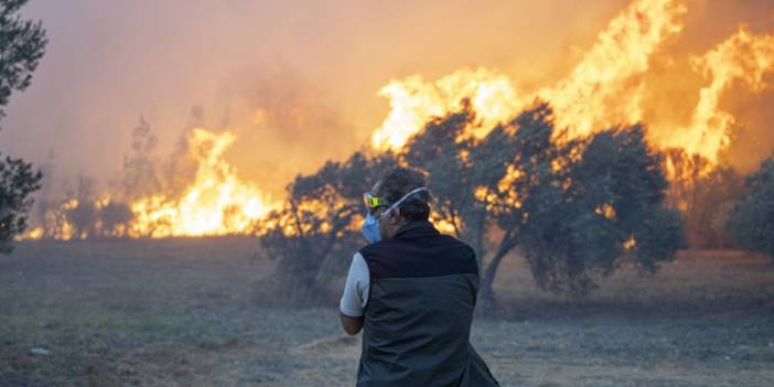 Yumaklı: 4 bölgede orman yangınları kontrol altına alındı