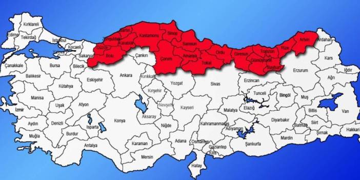 Karadeniz için "sessiz salgın" uyarısı: Kas ağrısı, baş ağrısı, halsizlik yaşıyorsanız dikkat