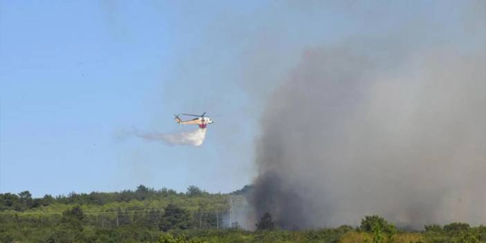 Çanakkale'deki yangın kontrol altında