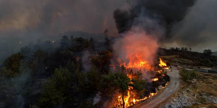 Minibüste başladı ormana sıçradı! İzmir yine yanıyor