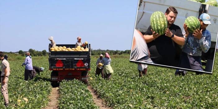 Tarımda planlama eksikliği fiyatları vurdu: Karpuz tarlada 2, markette 8,5 TL