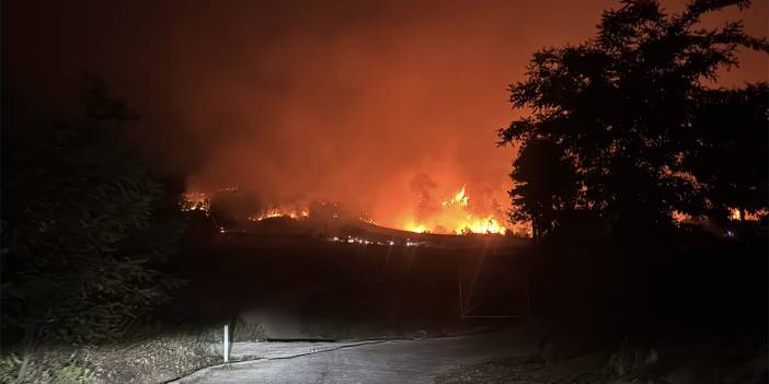 Suriye’deki orman yangınları Türkiye’ye sıçradı