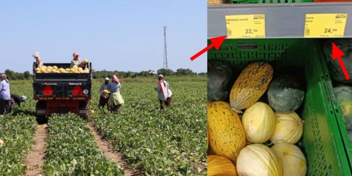 Tarlada 2 TL, markette 8,5 TL! Karpuz ve kavun fiyatlarındaki fahiş fark görüntülendi: Tarlada 9 TL olan kavun markette 25 TL!