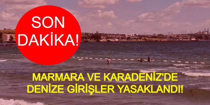 Son dakika: Marmara'nın ve Karadeniz'in en popüler sahillerinde denize girmek yasak! Girenlere para cezası!