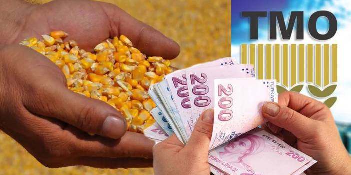 Çiftçiler dikkat! Mısır alım fiyatları açıklandı: Ton başına ne kadar destek verilecek?