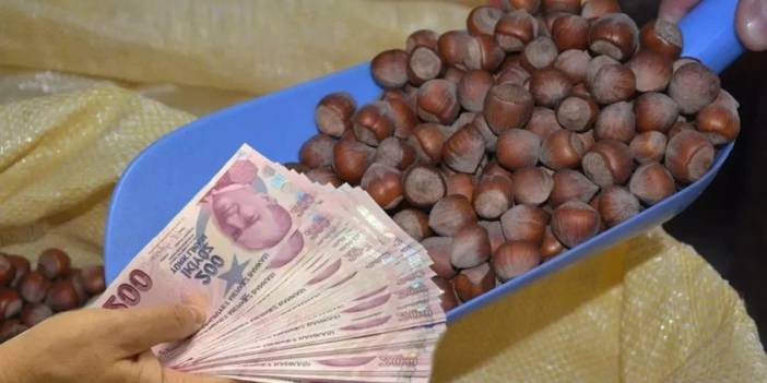 Fındık üreticisine müjde: Fiyatlar TMO'nun üzerine çıktı! Uzmanlardan 'Daha da yükselecek' uyarısı