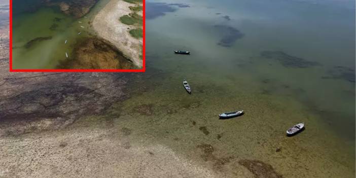 İklim değişikliği Beyşehir Gölü’nü resmen kuruttu! Uzmanlar acı tabloyu açıkladı: “Şu anda ölmüş vaziyettedir”