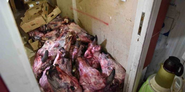 Market denetiminde skandal! Yumurtadan hamam böceği, depodan bozuk et çıktı