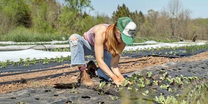 Gençlere yeni köy teşviki! Bedelsiz arazi ve ev desteği geliyor