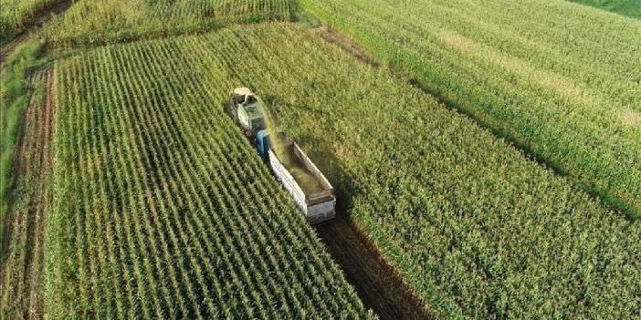 Temmuzda başladı! Tarım sayım seferberliğine çiftçiden yoğun ilgi: 450 binden fazla kayıt yapıldı