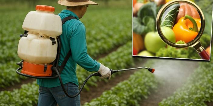 Zirai ilaç kullanımında yeni dönem: Pestisitlerde reçete uygulaması başlıyor