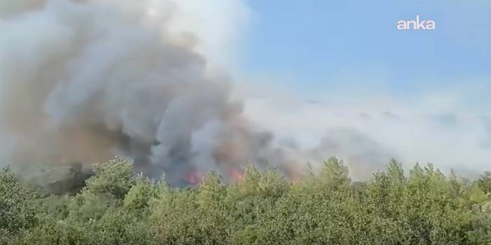 3 il alevlere teslim! Adana, Muğla ve Osmaniye’de orman yangını