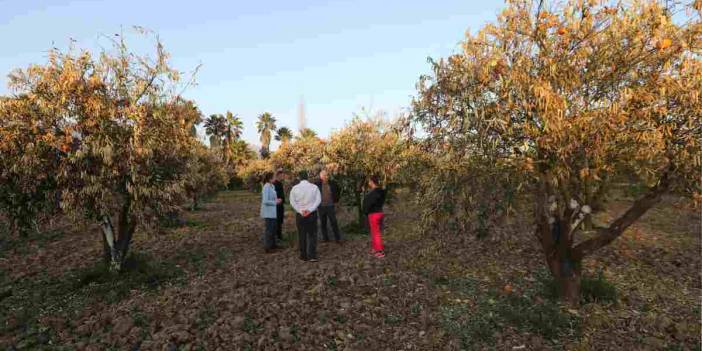 O ilimizde çiftçilik alarm veriyor: Her dört üreticiden biri mesleği bırakmayı düşünüyor