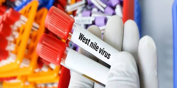 Yunanistan’da Batı Nil virüsü: 2 ölüm, 47 doğrulanmış vaka