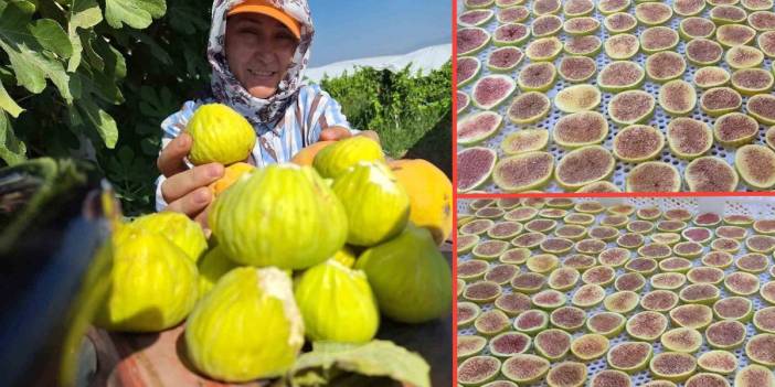 Sarıgöllü kadınların yeni gözdesi: Kışlık hazırlık olarak incir cipsi yapıyorlar