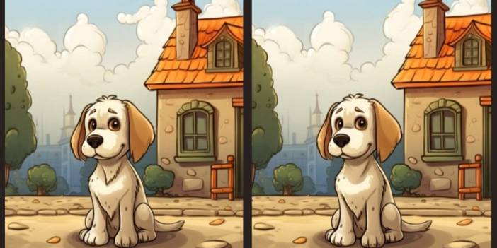 Gözlerinize güveniyor musunuz? Yüksek IQ'luların 12 saniyede çözdüğü 3 farkı sadece dahiler buluyor!