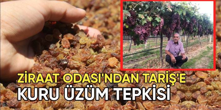 Ziraat Odası'ndan TARİŞ'e kuru üzüm fiyatı tepkisi: "Bu fiyat kabul edilemez"