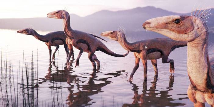 Evrim tarihini değiştirebilir: 225 milyon yıllık fosil dinozor