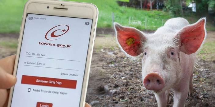 Domuz eti içeren ürünler e-Devlet'te! Etiketlere aldanmayın, gerçek içerik bu sitede