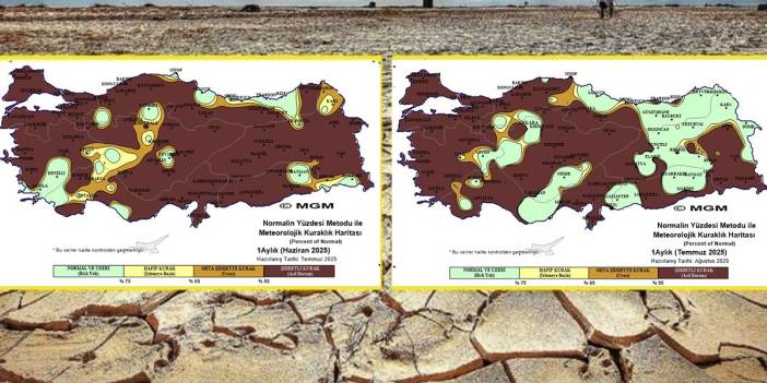 Türkiye haritası kahverengiye döndü! Bu bir felaket