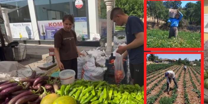Tıp öğrencisi kardeşiyle tarlada: Üniversiteli gençler hem okuyor hem üretiyor