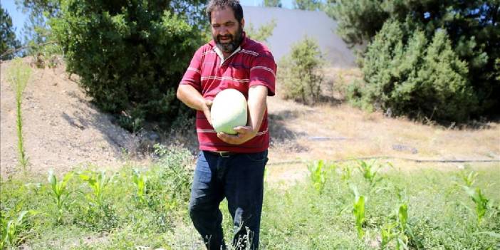 60 dönümde ata tohumundan yetiştiriyor, herkese şifa olsun istiyor! Doğal ve taze: Binlerce kişiye ücretsiz dağıtıyor