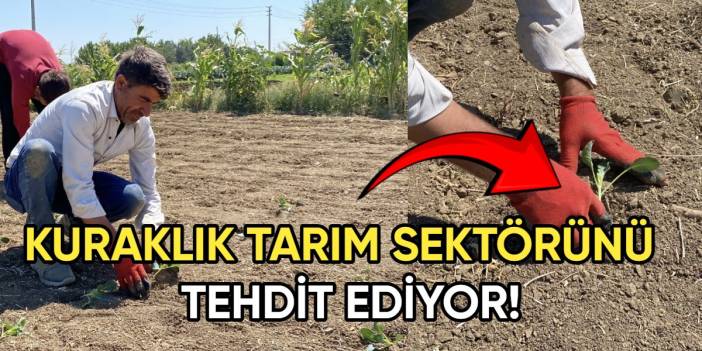 Kuraklık alarmı: Kuyularda su bitti, üretim durma noktasına geldi! Tarım sektörü tehlikede