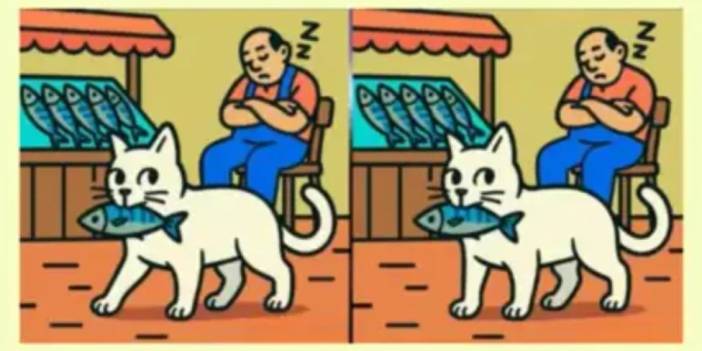 Sadece keskin gözlüler 14 saniyede bulabiliyor: Bu iki resim arasındaki 3 farkı görebildiniz mi?