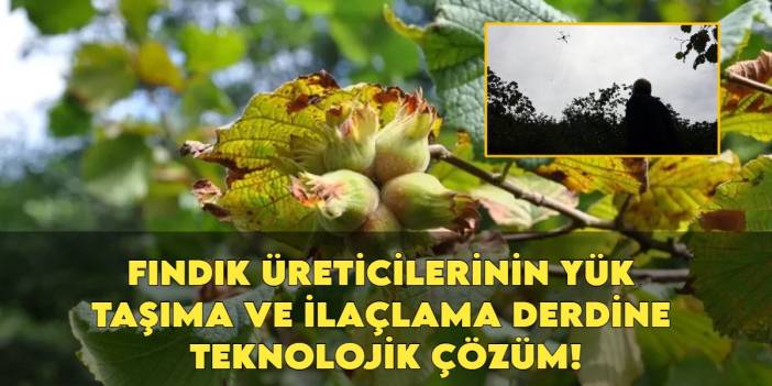 Karadeniz fındık ve çay üreticisine dronlu çözüm: Yük taşıma ve ilaçlama artık daha kolay