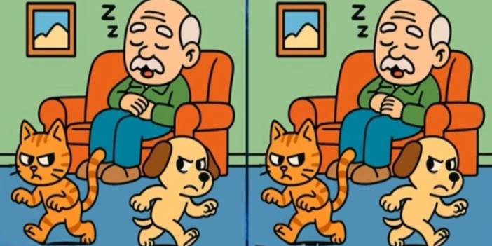 IQ seviyenizi ölçün: BU 3 farkı 12 saniyede sadece gerçek dahiler görebiliyor!