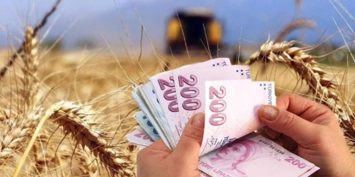 Çiftçilere müjde: 772 milyon liralık destek ödemesi hesaplara yatıyor
