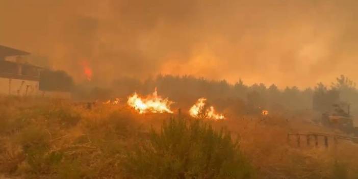 Denizli'de 5 gündür süren yangın Aydın'a sıçradı! 2 mahalle ve 1 hastane boşaltıldı