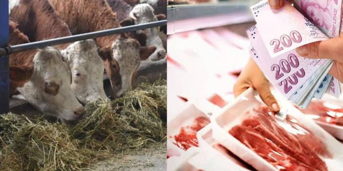 Kırmızı et üretiminde şap hastalığı alarmı: Kontrol altına alınmazsa fiyatlar artacak