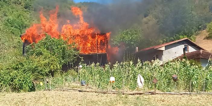 Bursa ve Karabük'te orman yangını